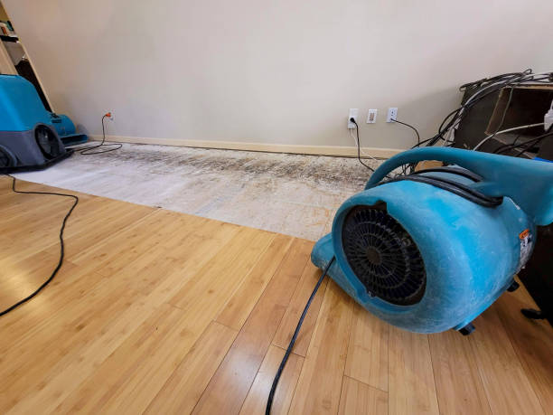 Professional Structural Drying technician working in Nashville, AR